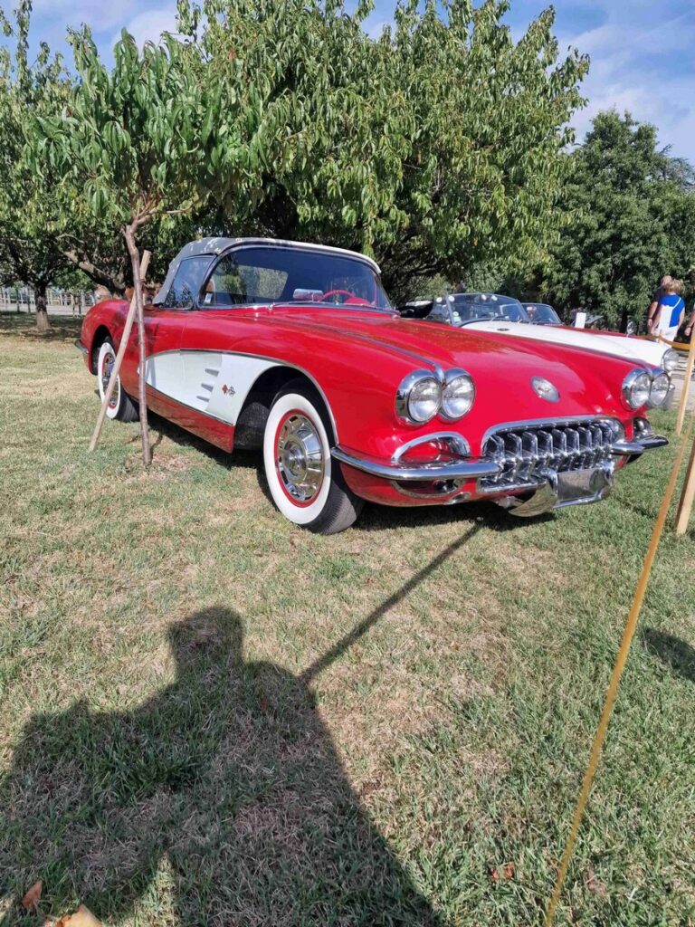 Quand Louison Industries apporte son soutien à un événement de voitures anciennes 7 Voiture ancienne